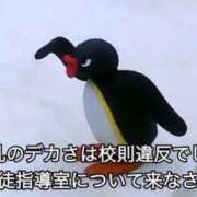 ヒメ日記 2025/04/05 20:21 投稿 シイナ あいらぶゆー