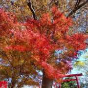 ヒメ日記 2025/12/05 22:45 投稿 折原 つかさ SUMIRE