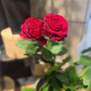 ヒメ日記 2025/04/03 22:13 投稿 霧沼　小夏 トリプルクラウン