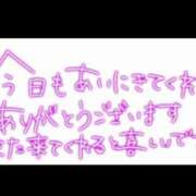 ヒメ日記 2024/08/14 03:38 投稿 るな 人妻コレクション（厚木）