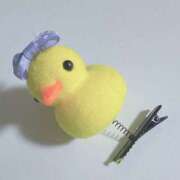 ヒメ日記 2025/08/30 17:08 投稿 ふたば チェックイン横浜女学園