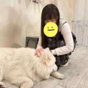 ヒメ日記 2025/04/27 12:06 投稿 はる チューリップ福井本館