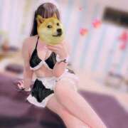 ヒメ日記 2025/02/20 22:44 投稿 はる チューリップ福井別館