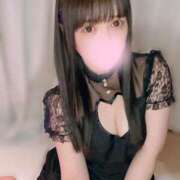 ヒメ日記 2025/02/21 18:14 投稿 はる チューリップ福井別館