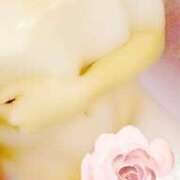 ヒメ日記 2025/01/27 22:01 投稿 くるみ 川崎人妻城