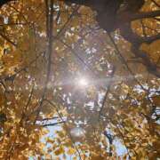 ヒメ日記 2025/01/14 12:04 投稿 はな 東京♂風俗の神様 町田・相模原店