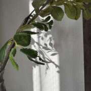 ヒメ日記 2025/03/07 14:02 投稿 はな 東京♂風俗の神様 町田・相模原店