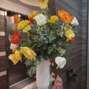 ヒメ日記 2025/03/17 22:21 投稿 はな 東京♂風俗の神様 町田・相模原店