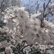 ヒメ日記 2025/04/04 12:41 投稿 はな 東京♂風俗の神様 町田・相模原店