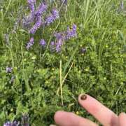 ヒメ日記 2025/05/14 06:21 投稿 はな 東京♂風俗の神様 町田・相模原店