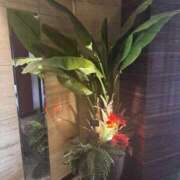 ヒメ日記 2025/05/27 11:02 投稿 はな 東京♂風俗の神様 町田・相模原店