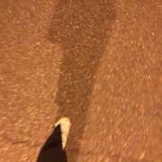 ヒメ日記 2025/06/28 17:11 投稿 はな 東京♂風俗の神様 町田・相模原店