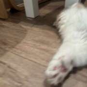 ヒメ日記 2025/07/13 16:41 投稿 はな 東京♂風俗の神様 町田・相模原店