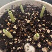 ヒメ日記 2025/08/06 08:01 投稿 はな 東京♂風俗の神様 町田・相模原店