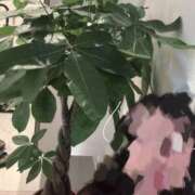 ヒメ日記 2025/09/01 23:41 投稿 はな 東京♂風俗の神様 町田・相模原店