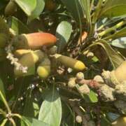 ヒメ日記 2025/09/18 13:02 投稿 はな 東京♂風俗の神様 町田・相模原店