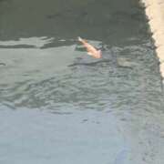 ヒメ日記 2025/10/08 09:51 投稿 はな 東京♂風俗の神様 町田・相模原店