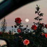 ヒメ日記 2025/10/17 10:02 投稿 はな 東京♂風俗の神様 町田・相模原店