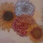 ヒメ日記 2025/11/20 09:41 投稿 はな 東京♂風俗の神様 町田・相模原店