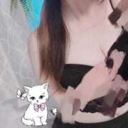 ヒメ日記 2025/11/26 22:41 投稿 はな 東京♂風俗の神様 町田・相模原店