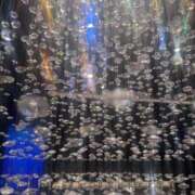 ヒメ日記 2025/12/09 12:11 投稿 はな 東京♂風俗の神様 町田・相模原店