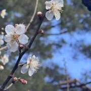 ヒメ日記 2026/02/23 20:31 投稿 はな 東京♂風俗の神様 町田・相模原店