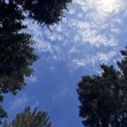 ヒメ日記 2026/03/02 10:01 投稿 はな 東京♂風俗の神様 町田・相模原店