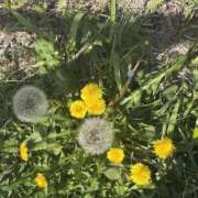 ヒメ日記 2026/04/12 11:11 投稿 はな 東京♂風俗の神様 町田・相模原店