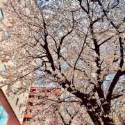 ヒメ日記 2025/04/05 21:46 投稿 ひかる 豊満熟女