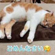 ヒメ日記 2024/12/21 23:07 投稿 キララ バニーコレクション千葉栄町店