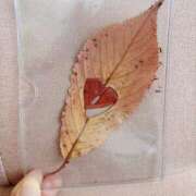 ヒメ日記 2025/01/15 10:00 投稿 キララ バニーコレクション千葉栄町店