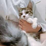 ヒメ日記 2025/03/15 16:30 投稿 キララ バニーコレクション千葉栄町店