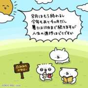 ヒメ日記 2025/08/31 18:02 投稿 キララ バニーコレクション千葉栄町店