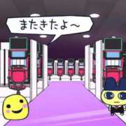 ヒメ日記 2025/10/01 19:02 投稿 キララ バニーコレクション千葉栄町店