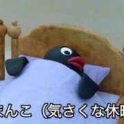 ヒメ日記 2025/11/09 17:30 投稿 キララ バニーコレクション千葉栄町店