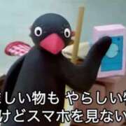 ヒメ日記 2026/03/26 16:02 投稿 キララ バニーコレクション千葉栄町店