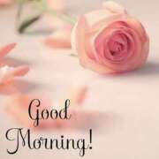 ヒメ日記 2025/04/24 10:50 投稿 えみり 奥鉄オクテツ兵庫