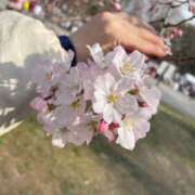 ヒメ日記 2025/03/26 01:21 投稿 蒼奈 人妻楼 木更津店