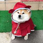 ヒメ日記 2025/05/02 17:57 投稿 蒼奈 人妻楼 木更津店