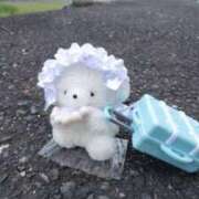 ヒメ日記 2025/06/15 15:15 投稿 蒼奈 人妻楼 木更津店