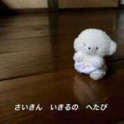 ヒメ日記 2025/10/01 01:32 投稿 蒼奈 人妻楼 木更津店