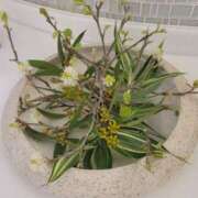 ヒメ日記 2025/05/17 23:30 投稿 さつき 人妻小旅行～神奈川県央編