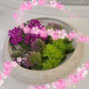 ヒメ日記 2025/08/01 20:08 投稿 さつき 人妻小旅行～神奈川県央編