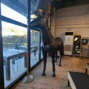 ヒメ日記 2026/02/15 08:35 投稿 さつき 人妻小旅行～神奈川県央編