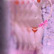 ヒメ日記 2025/03/12 20:29 投稿 神谷【かみや】 丸妻 西船橋店