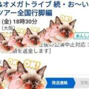 ヒメ日記 2025/09/17 20:33 投稿 神谷【かみや】 丸妻 西船橋店