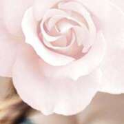 ヒメ日記 2026/01/05 02:50 投稿 神谷【かみや】 丸妻 西船橋店