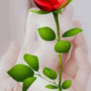 ヒメ日記 2026/04/06 01:58 投稿 神谷【かみや】 丸妻 西船橋店