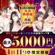 ヒメ日記 2026/04/11 02:45 投稿 神谷【かみや】 丸妻 西船橋店