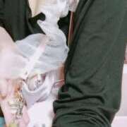 ヒメ日記 2026/04/11 09:11 投稿 神谷【かみや】 丸妻 西船橋店